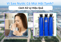 Vì Sao Nước Có Mùi Hôi Tanh? Cách Xử Lý Hiệu Quả