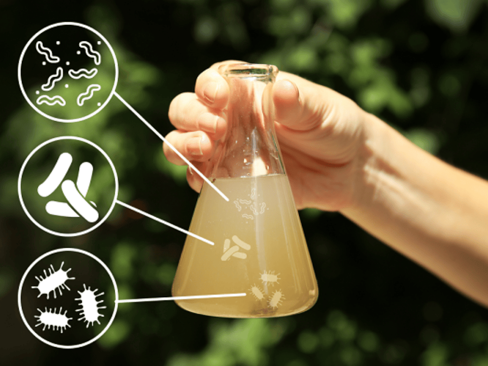 hệ thống lọc nước công nghiệp