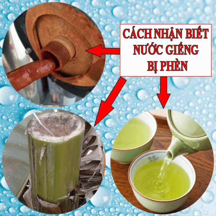 Giải Pháp Lọc Tổng Hiệu Quả 