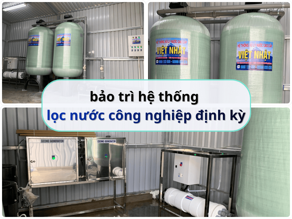 Hệ Thống Lọc Nước Chăn Nuôi