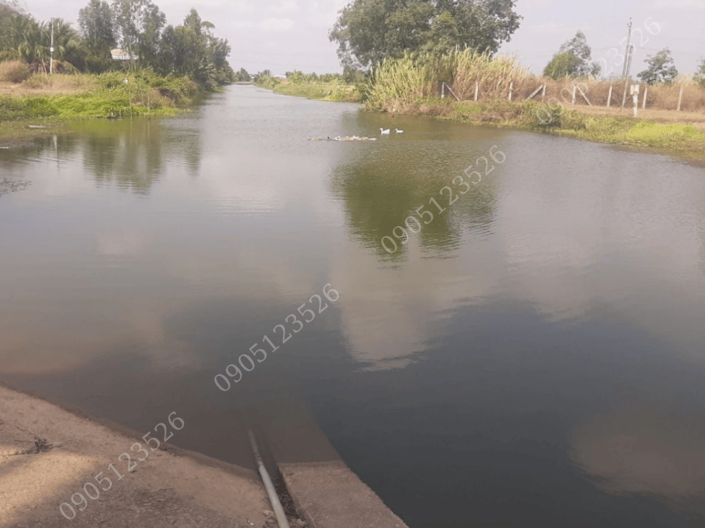 Lắp Đặt Hệ Thống RO 500L/h Tại Tiền Giang