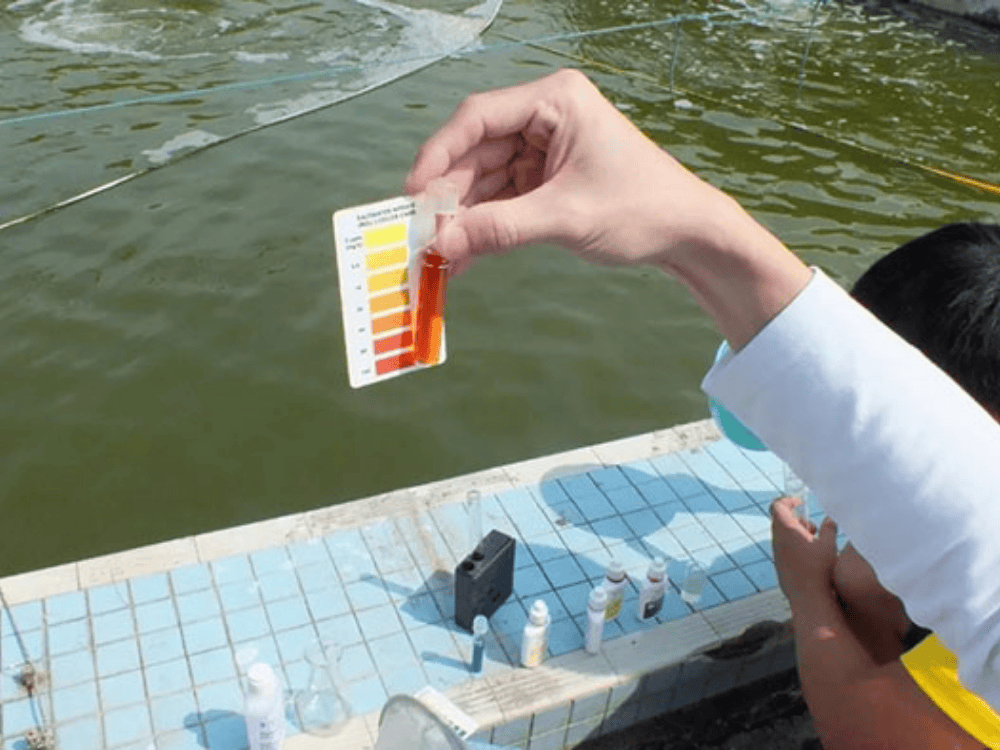 Lắp đặt hệ thống lọc nước tại Phan Thiết 