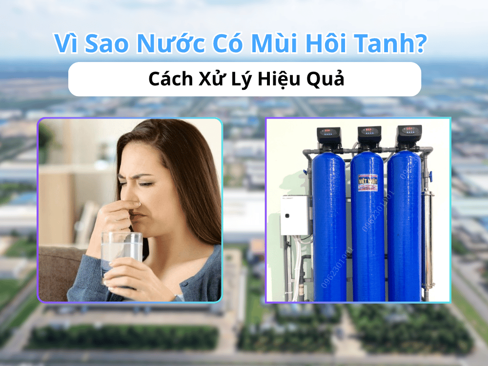 Cách Xử Lý Hiệu Quả Nước Có Mùi Hôi Tanh