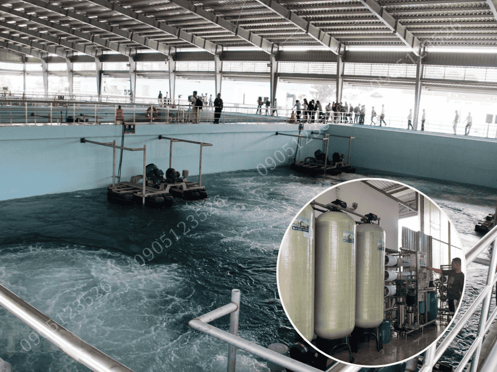 Xử Lý Nước Thải Kết Hợp Màng Lọc