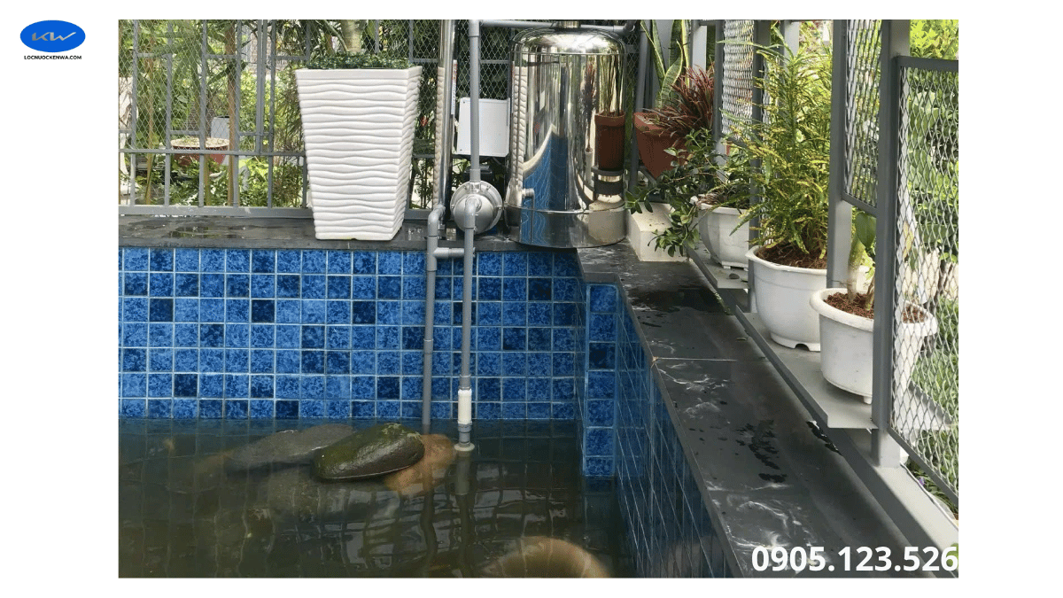 Kỹ thuật viên khảo sát bộ lọc nước hồ cá cảnh 20 m3