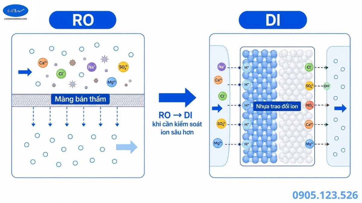 Sơ đồ so sánh nước DI và nước RO trong nhà máy